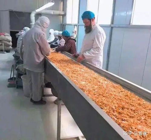 帶你走進中國大陸猶太 潔食 工廠 史上安全標準最高的食品認證