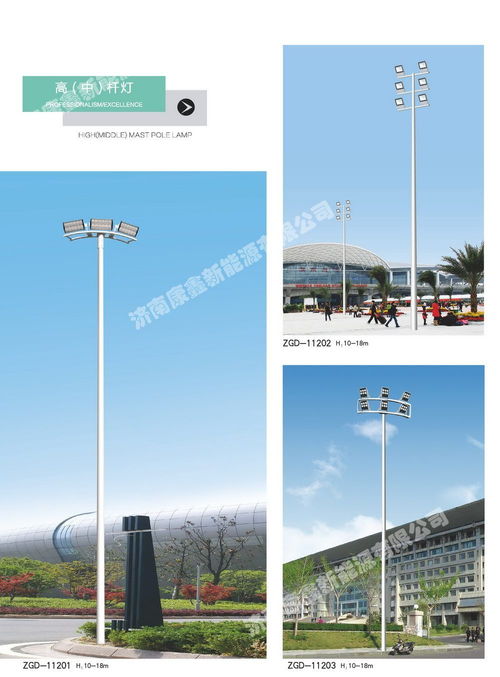 路燈桿 高桿燈 山東立桿