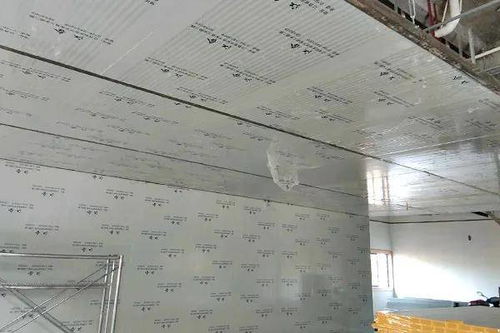 隊伍建設(shè)是登高作業(yè)的堅實保障——四川食品廠凈化車間高桿燈施工進度播報